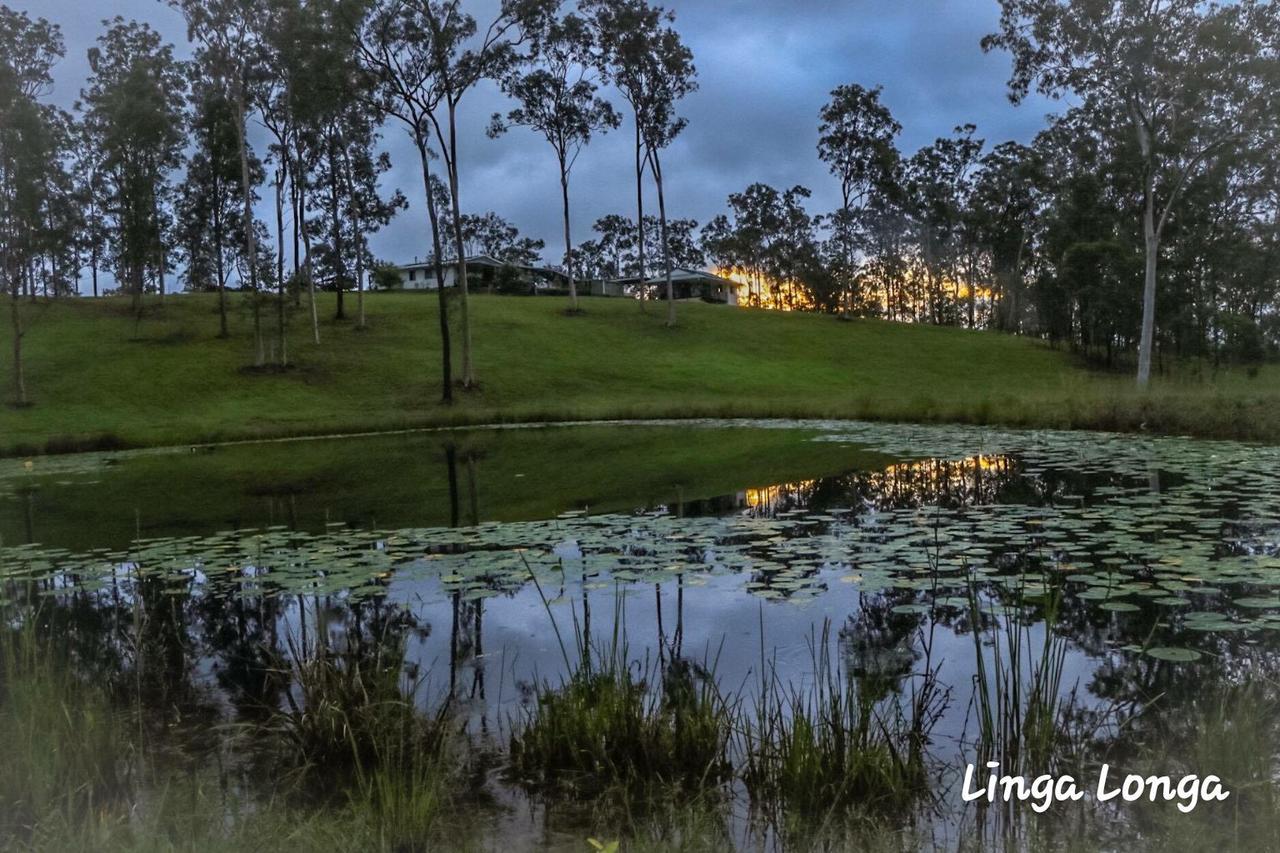 Linga Longa Spiritual Retreat Apartment Curra Exterior photo